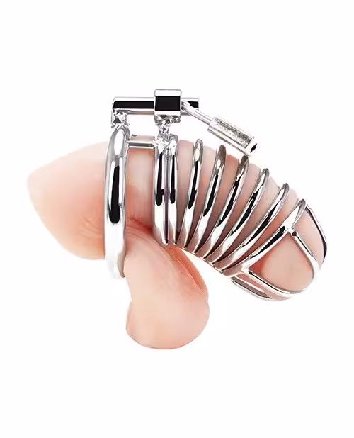 Blue Line Deluxe Chastity Cage Silver image 3