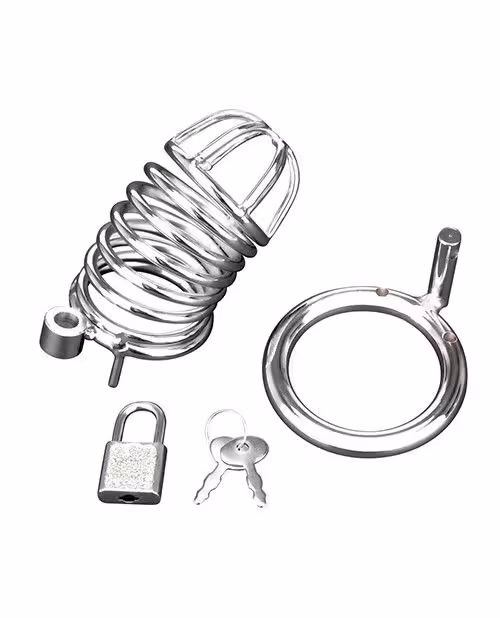 Blue Line Deluxe Chastity Cage Silver image 4