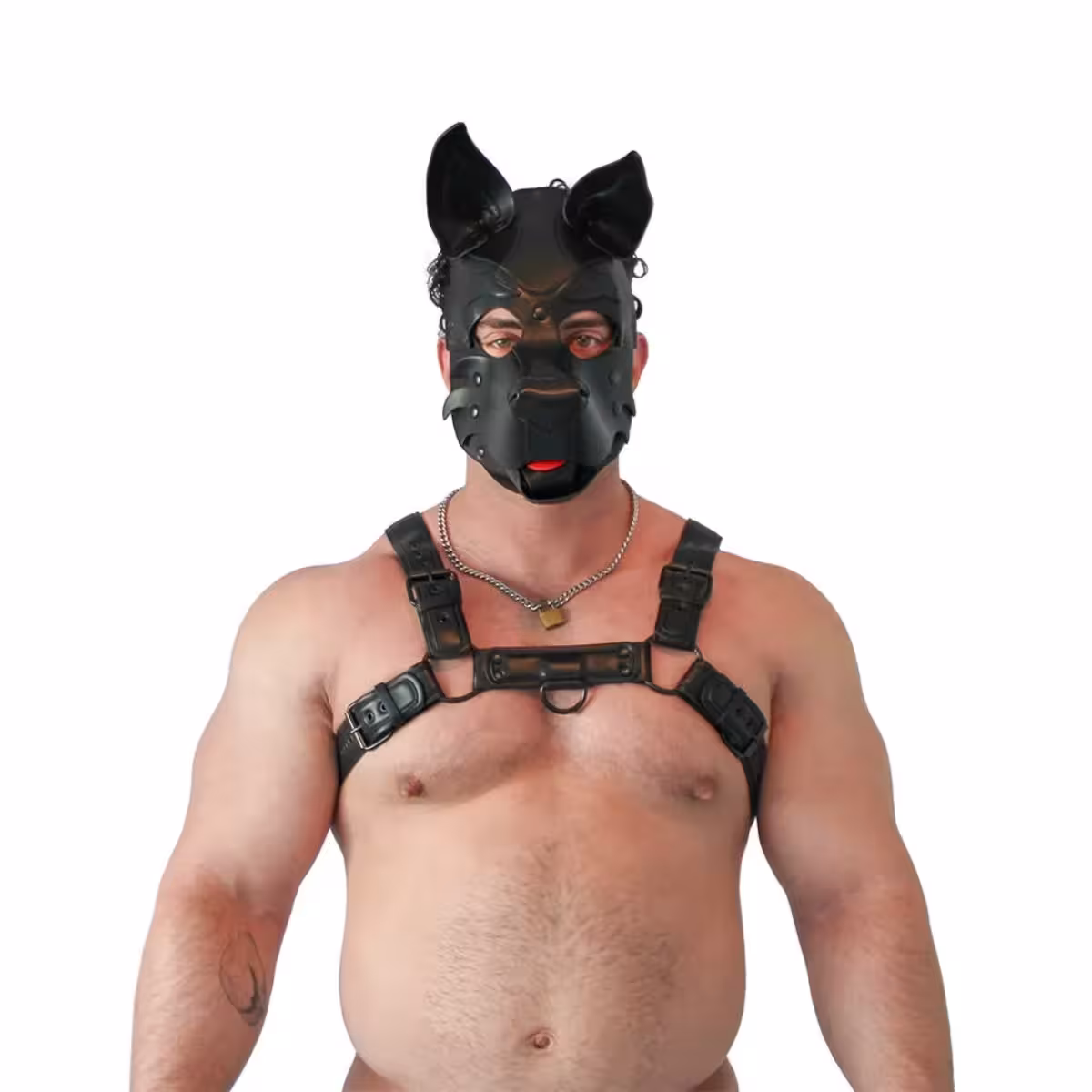 BRUTUS Vegan Pup Hood Black-Black | Premium Comfort & Style image 3