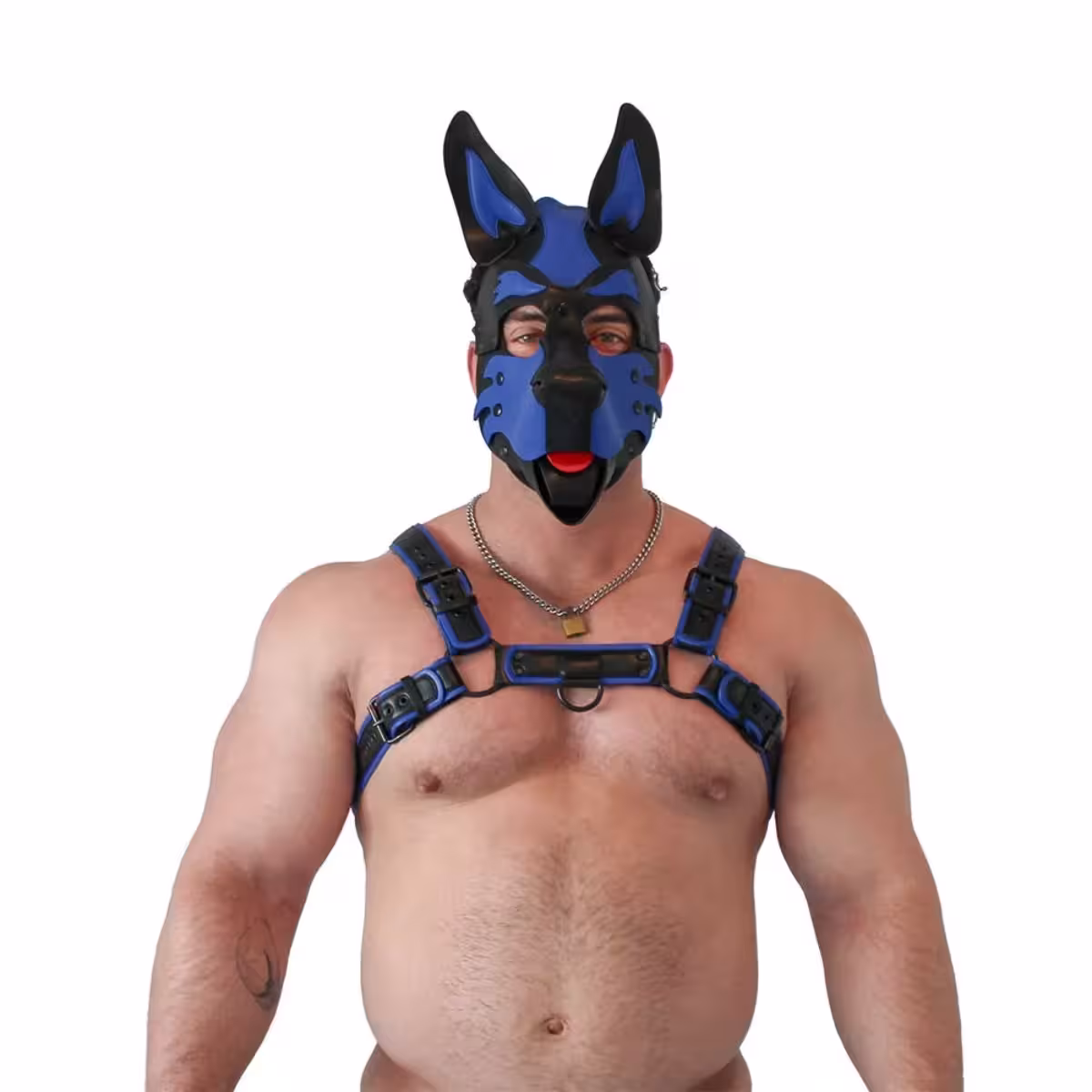 Brutus Vegan Pup Hood Black Blue – Playful & Stylish Accessory image 3