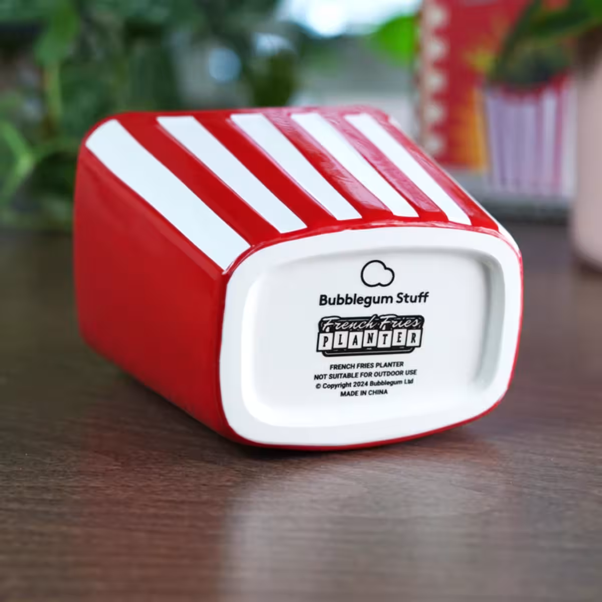 French Fries Planter image 3