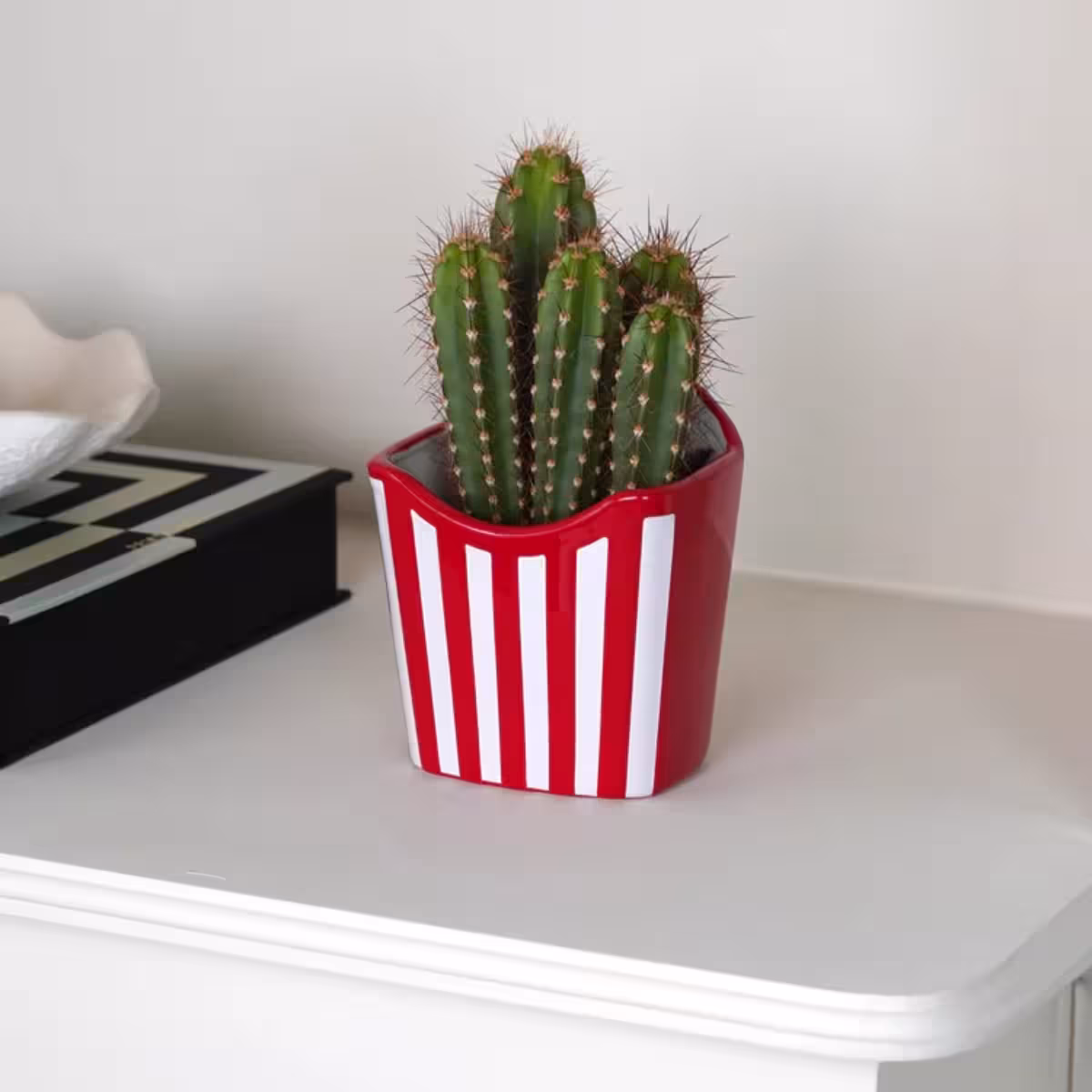 French Fries Planter image 5
