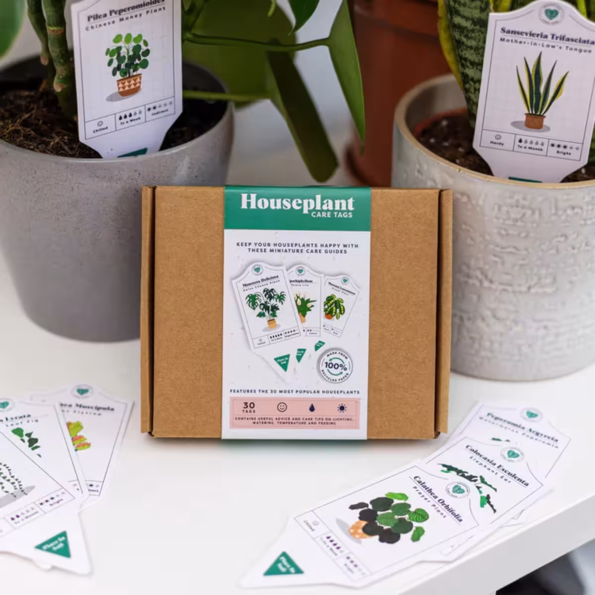 Houseplant Care Tags image 2