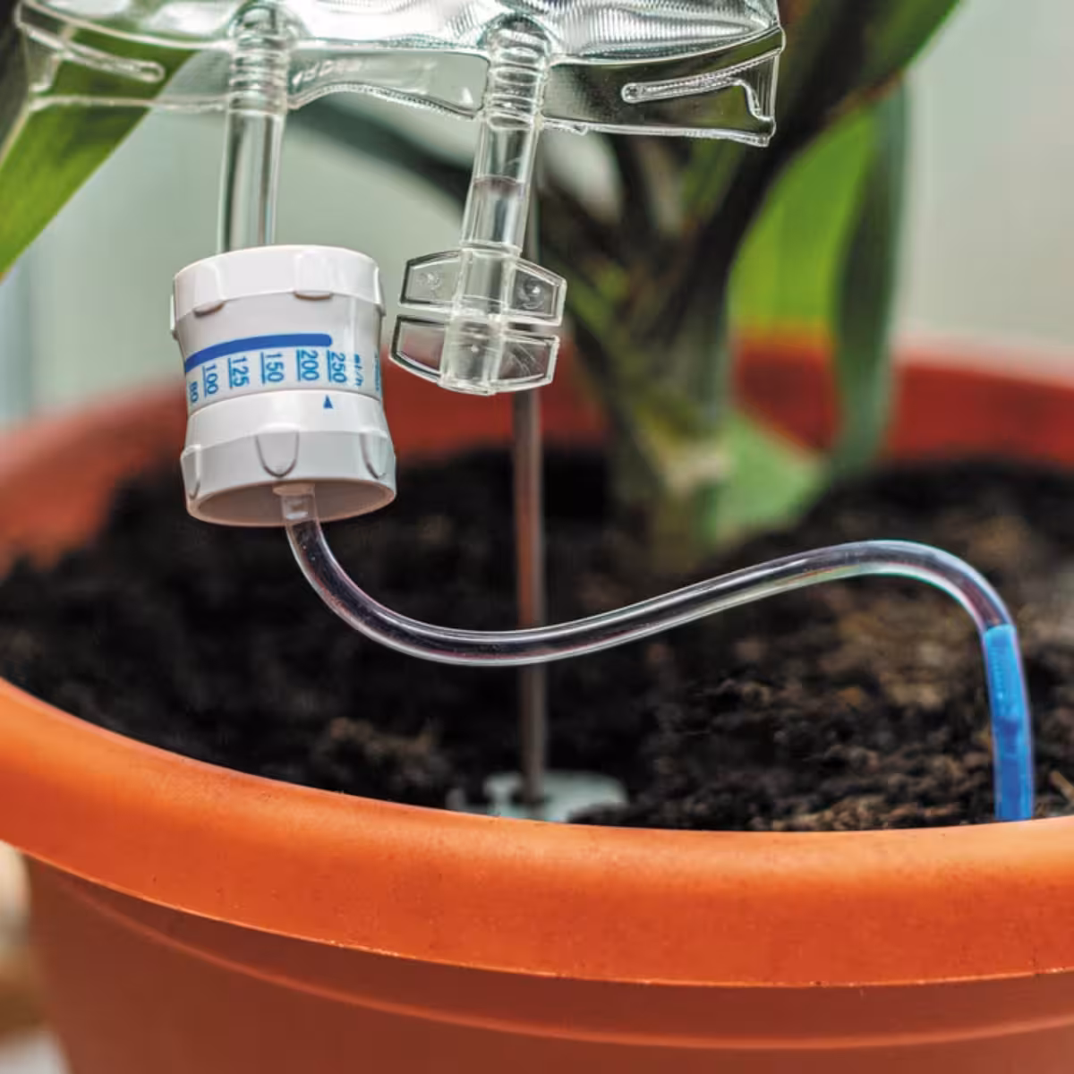 Plant Life Support image 3