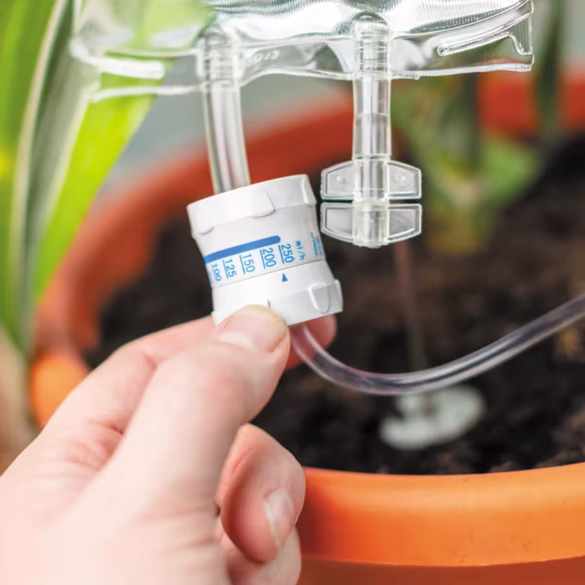Plant Life Support image 4