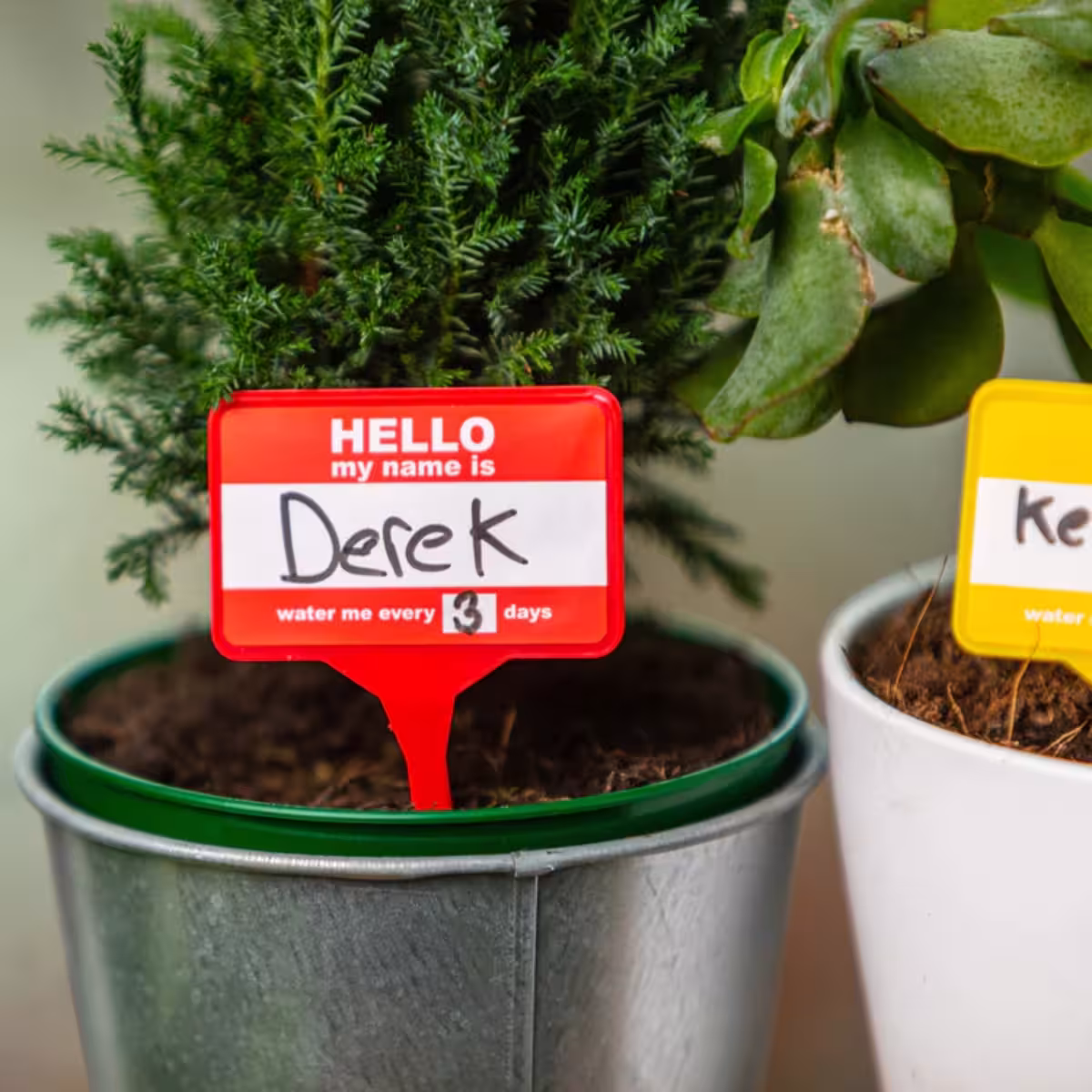Plant Name Badges image 3