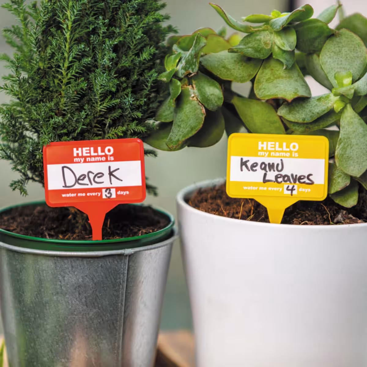 Plant Name Badges image 4