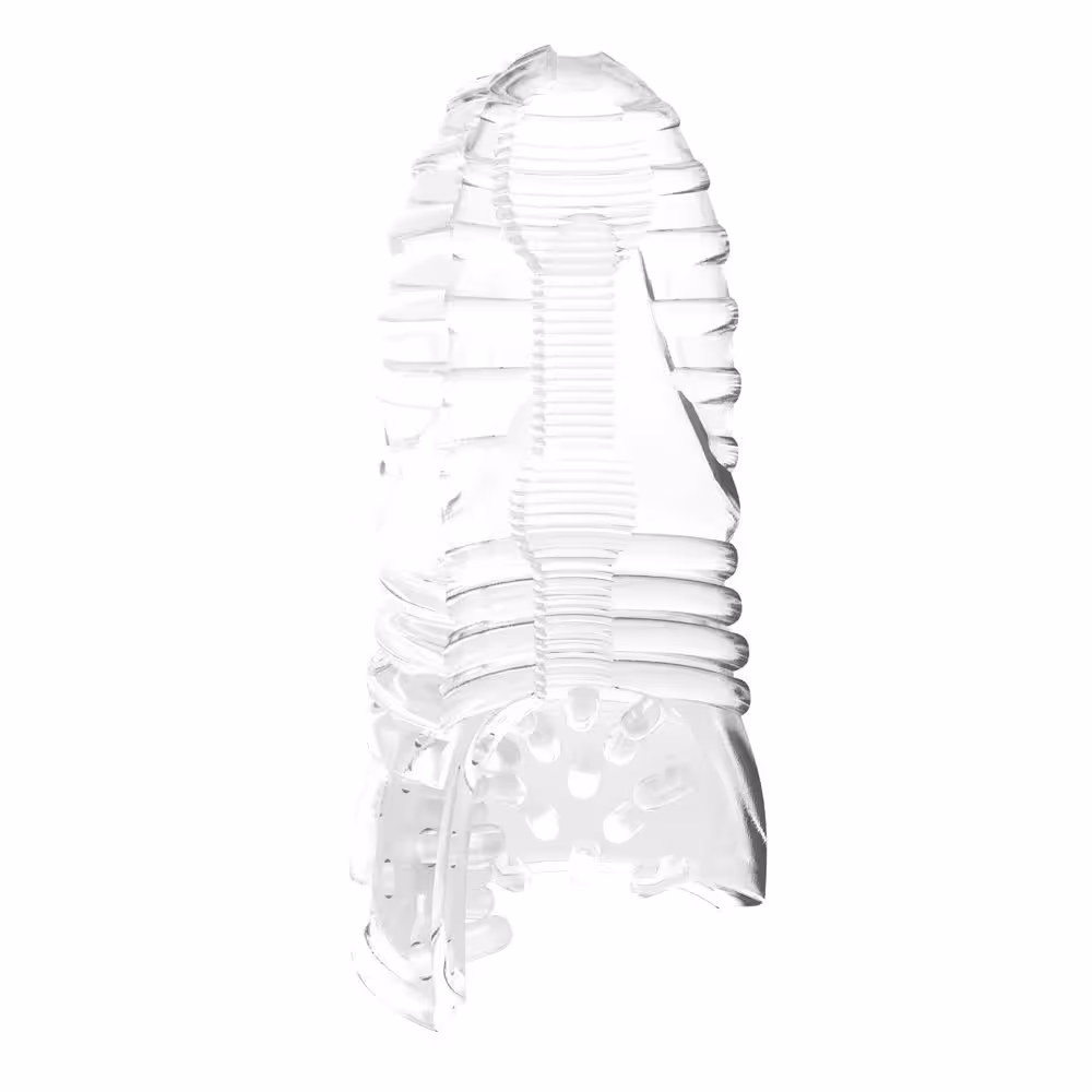 Me You Us Glacier Dual End Stroker Male Masturbator Transparent O image 2