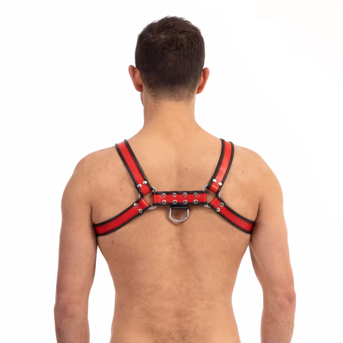 Prowler RED Bull Harness Black/Red Large image 2