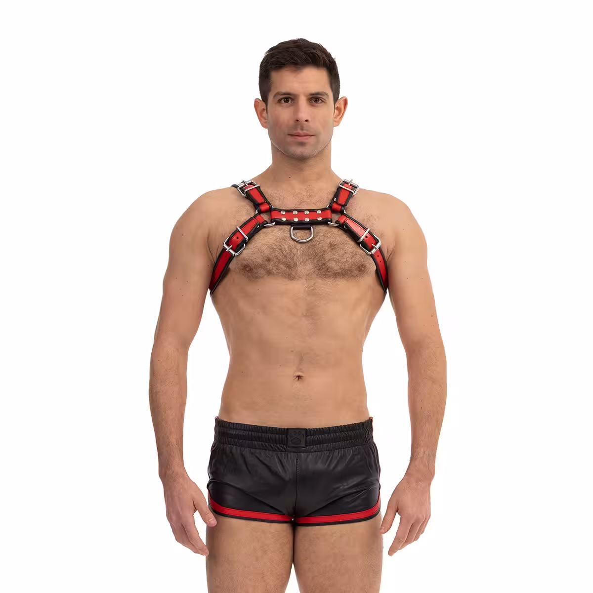 Prowler RED Bull Harness Black/Red Large image 5