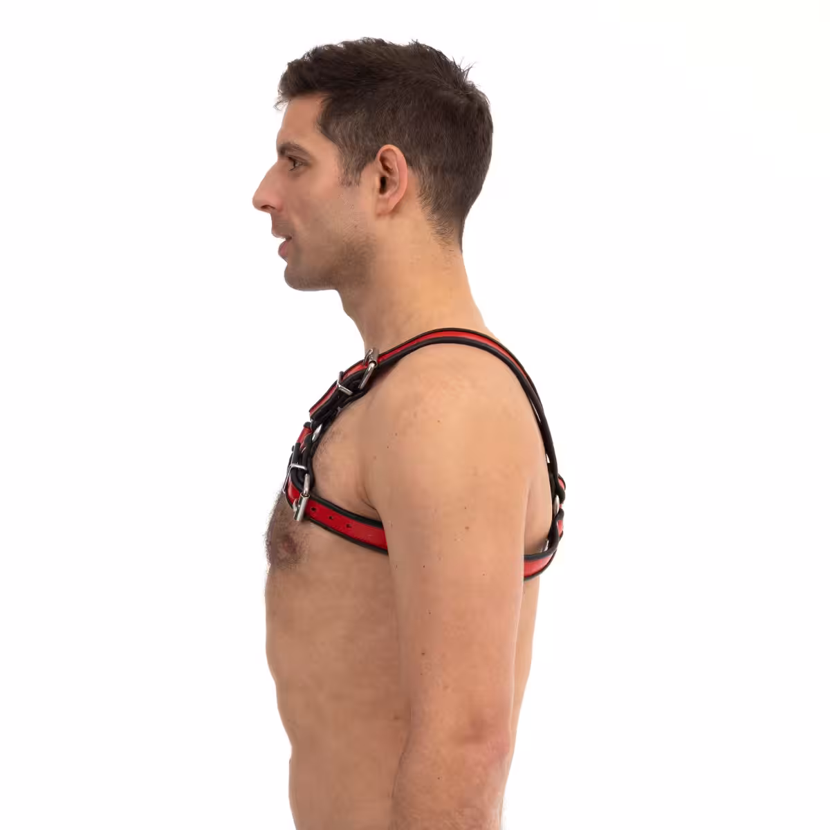 Prowler RED Bull Harness Black/Red Small image 4