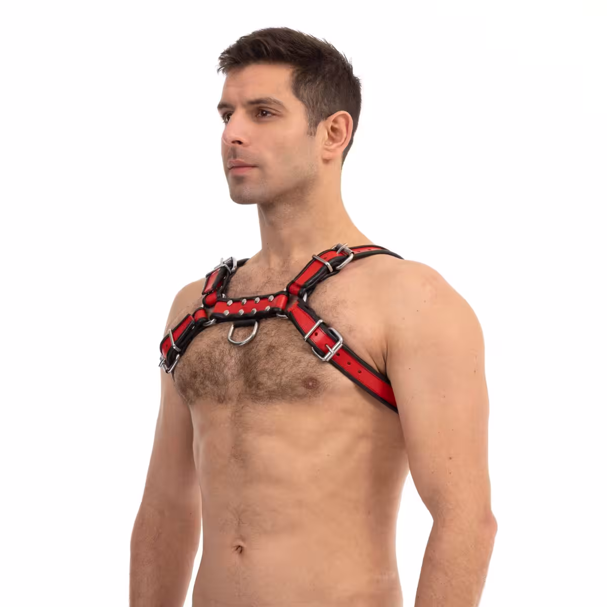 Prowler RED Bull Harness Black/Red XL image 3