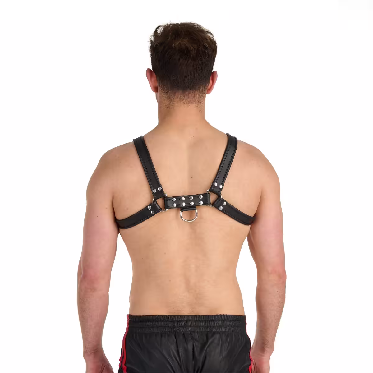 Prowler RED Bull Harness Black Small image 2
