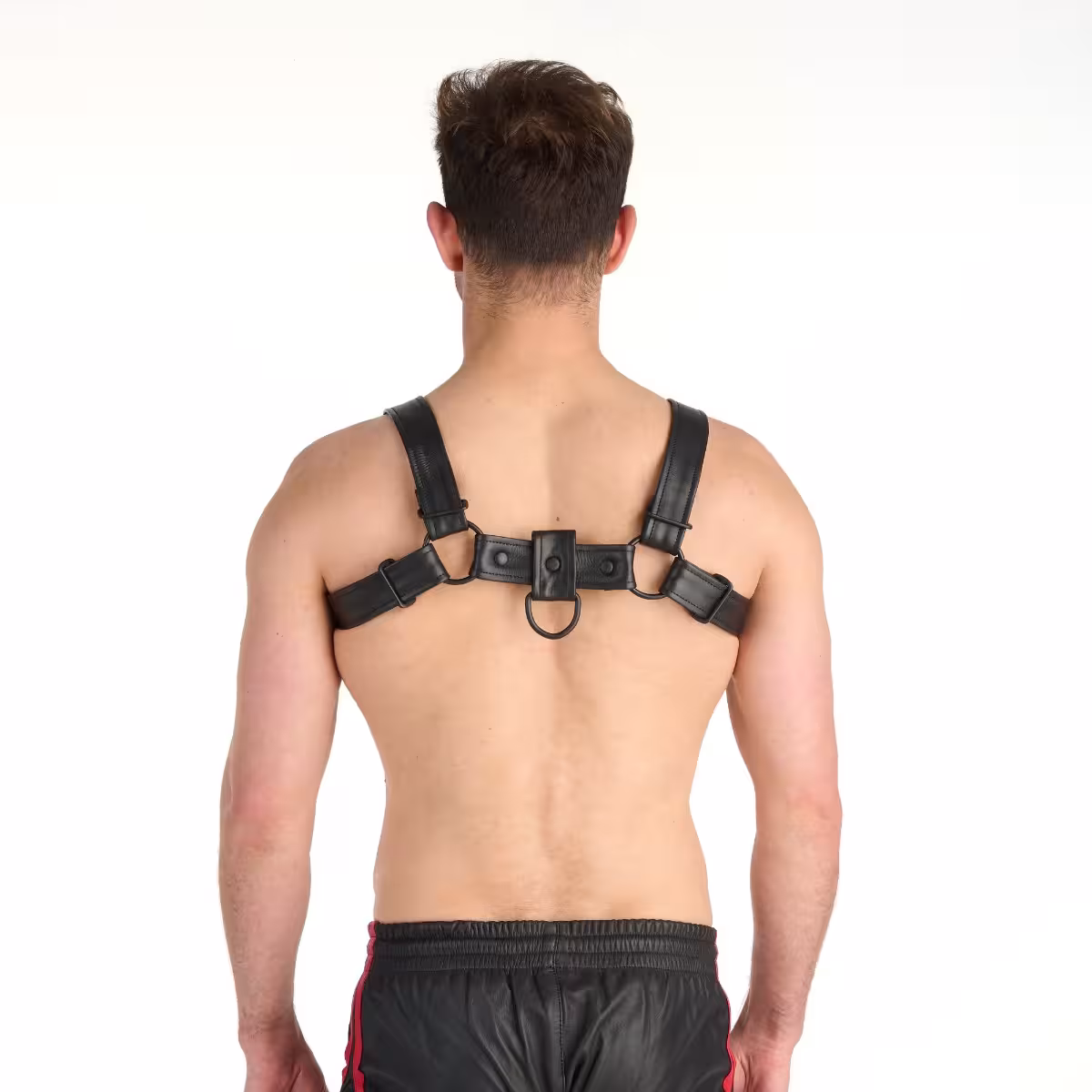 Prowler RED Bull Harness Black with Metal Fittings L