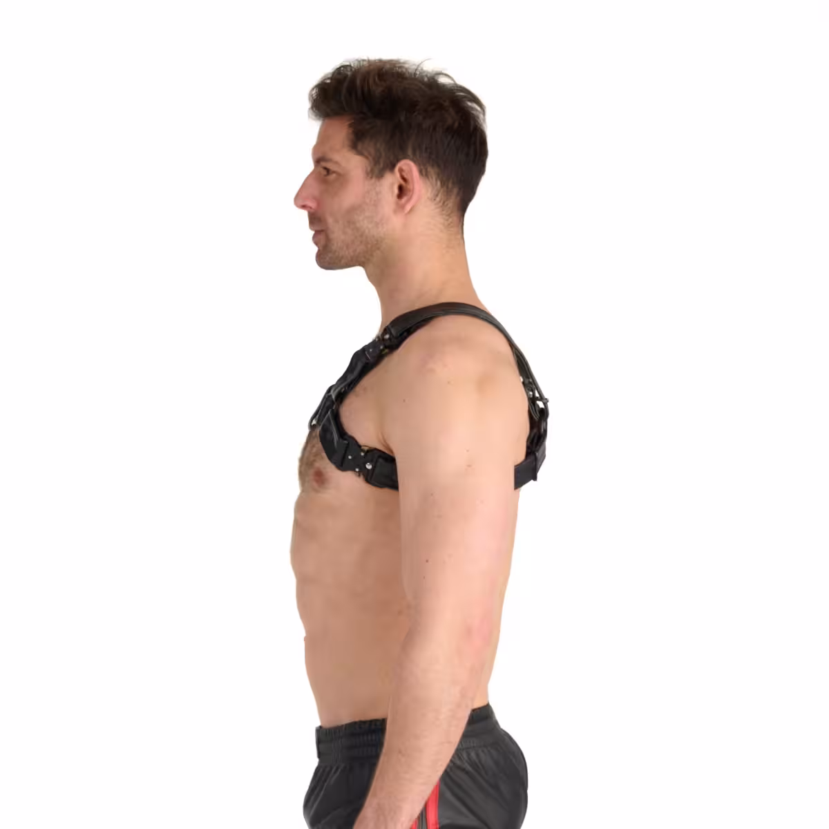 Prowler RED Bull Harness Black with Metal Fittings L image 2
