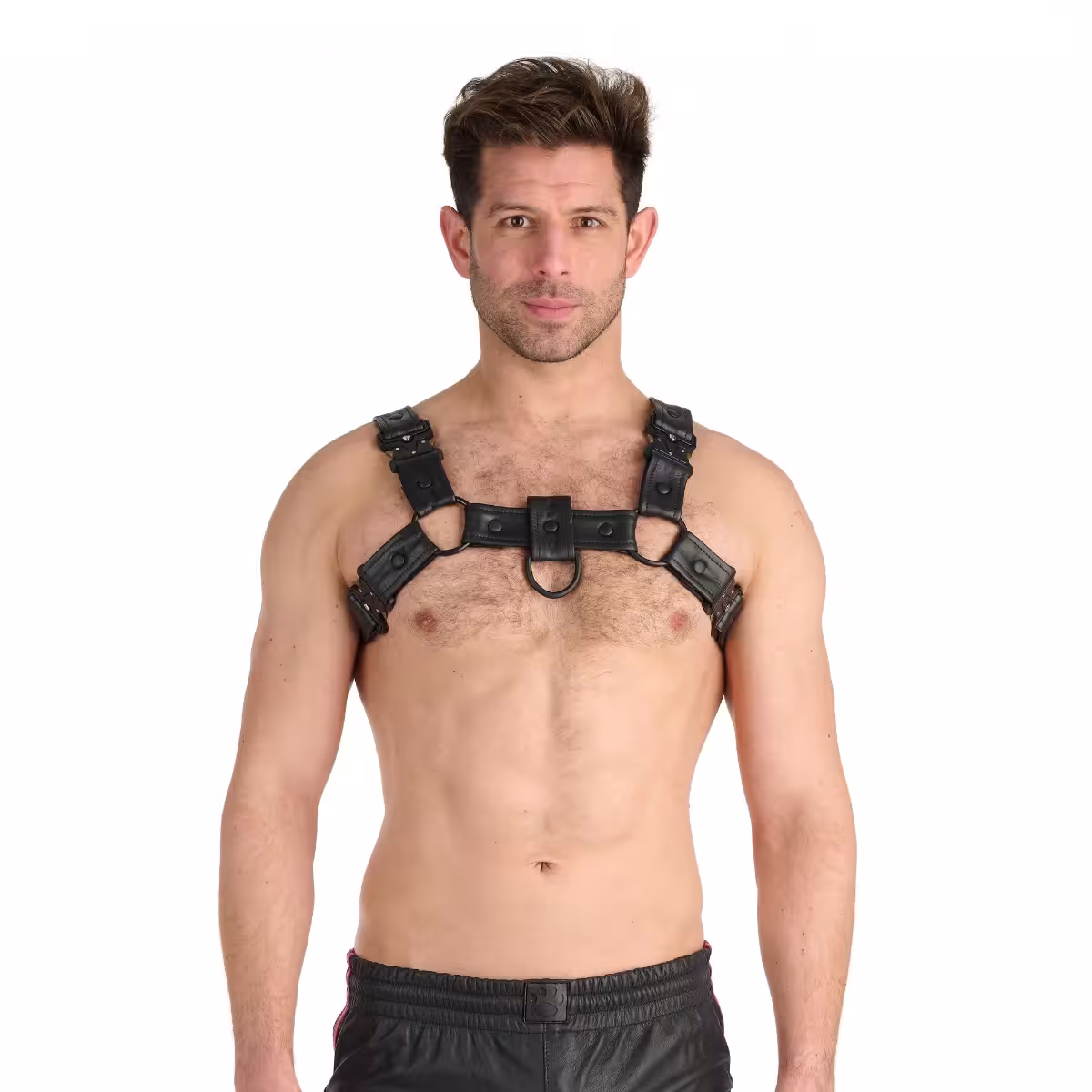 Prowler RED Bull Harness Black with Metal Fittings – Premium Leather Harness for Men