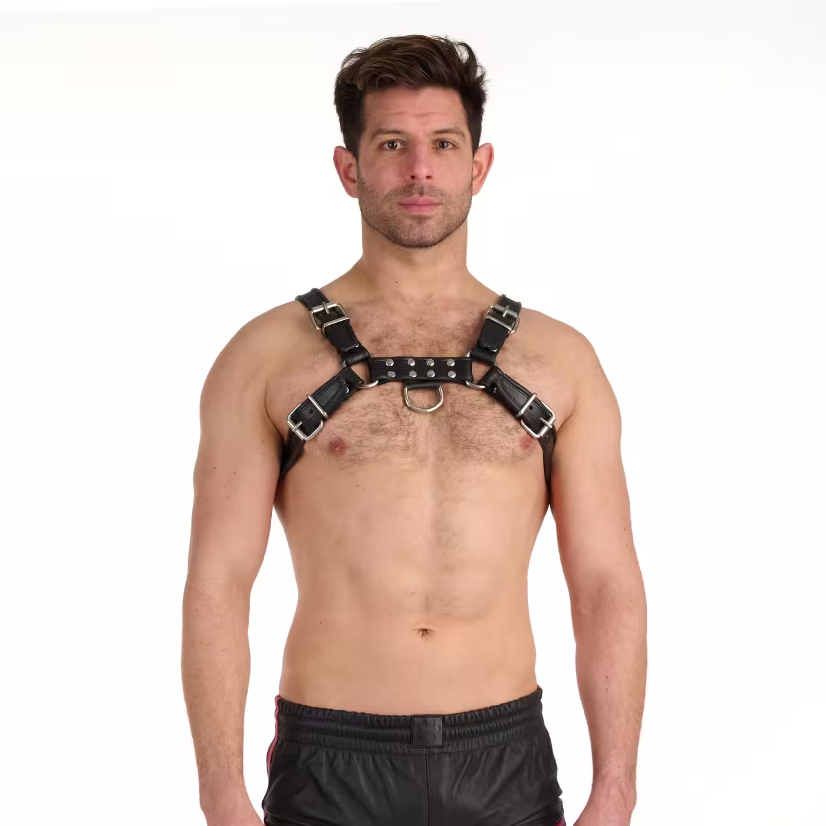 Prowler RED Bull Harness Black XL