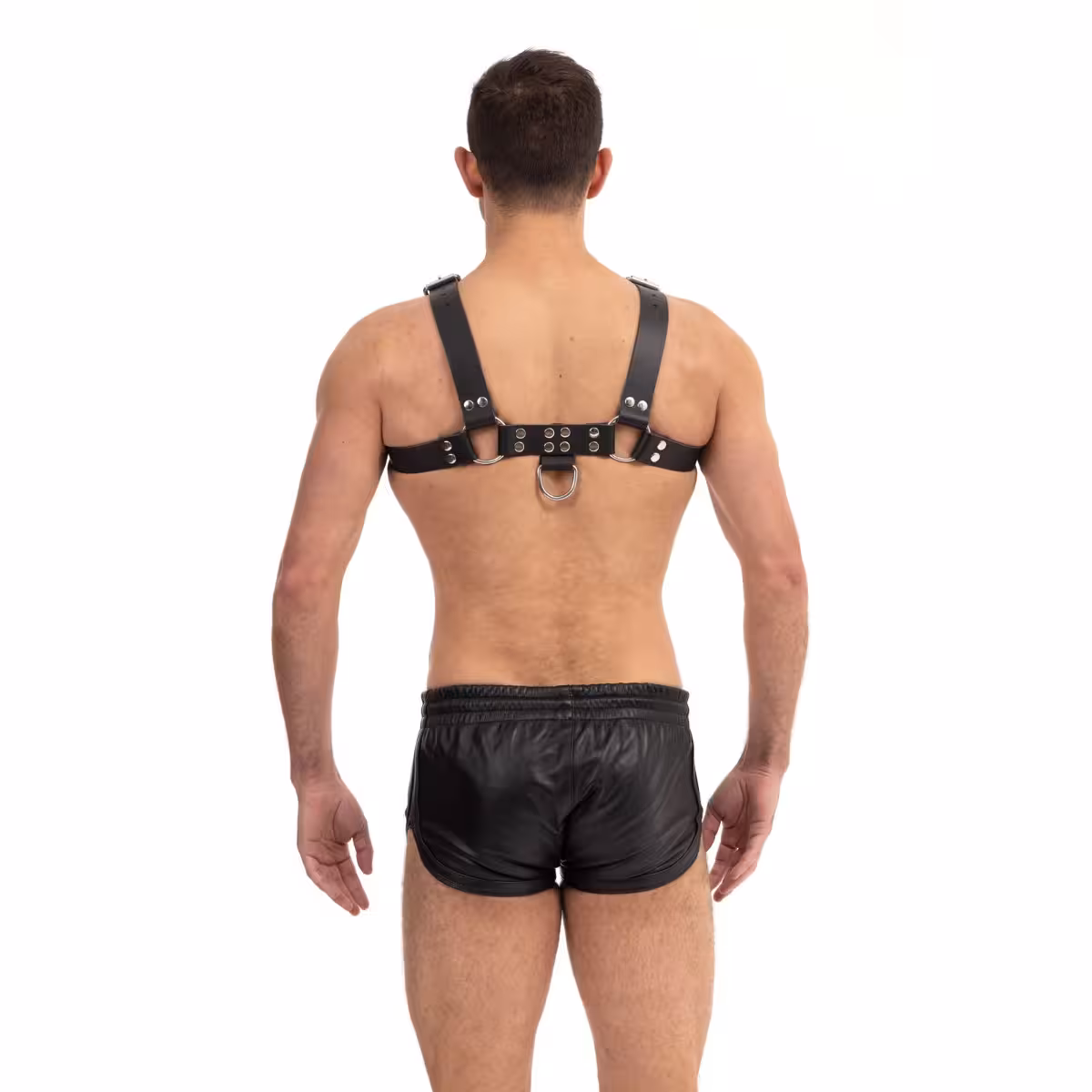 Prowler RED Butch Harness Black/Silver Medium image 4