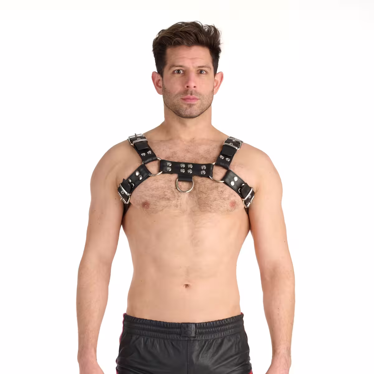 Prowler RED Butch Harness Premium Black Medium