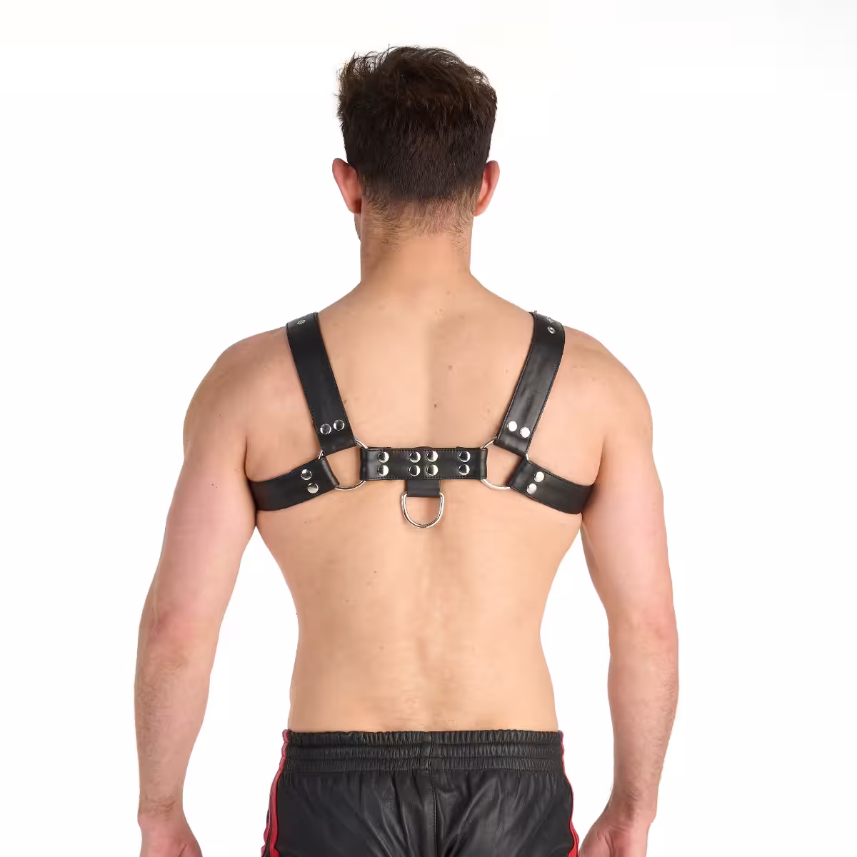 Prowler RED Butch Harness Premium Black Medium image 3