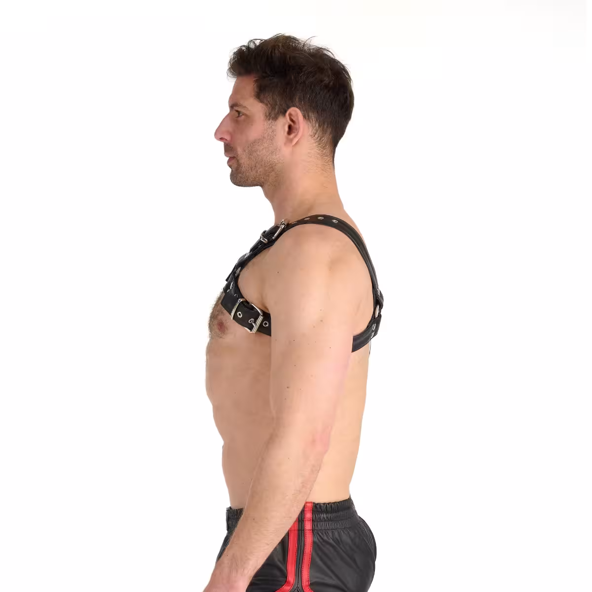 Prowler RED Butch Harness Premium Black XL image 3