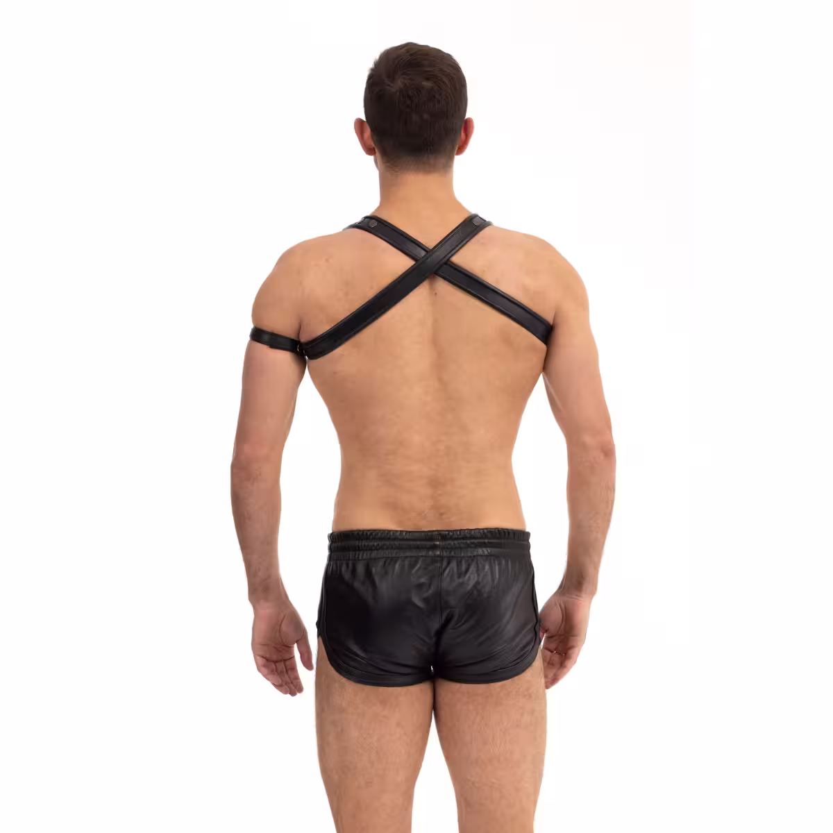 Prowler RED Cross Harness Black L/XL image 5