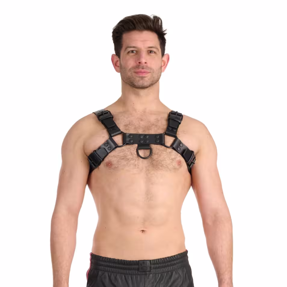 Prowler RED Noir Harness Black Large