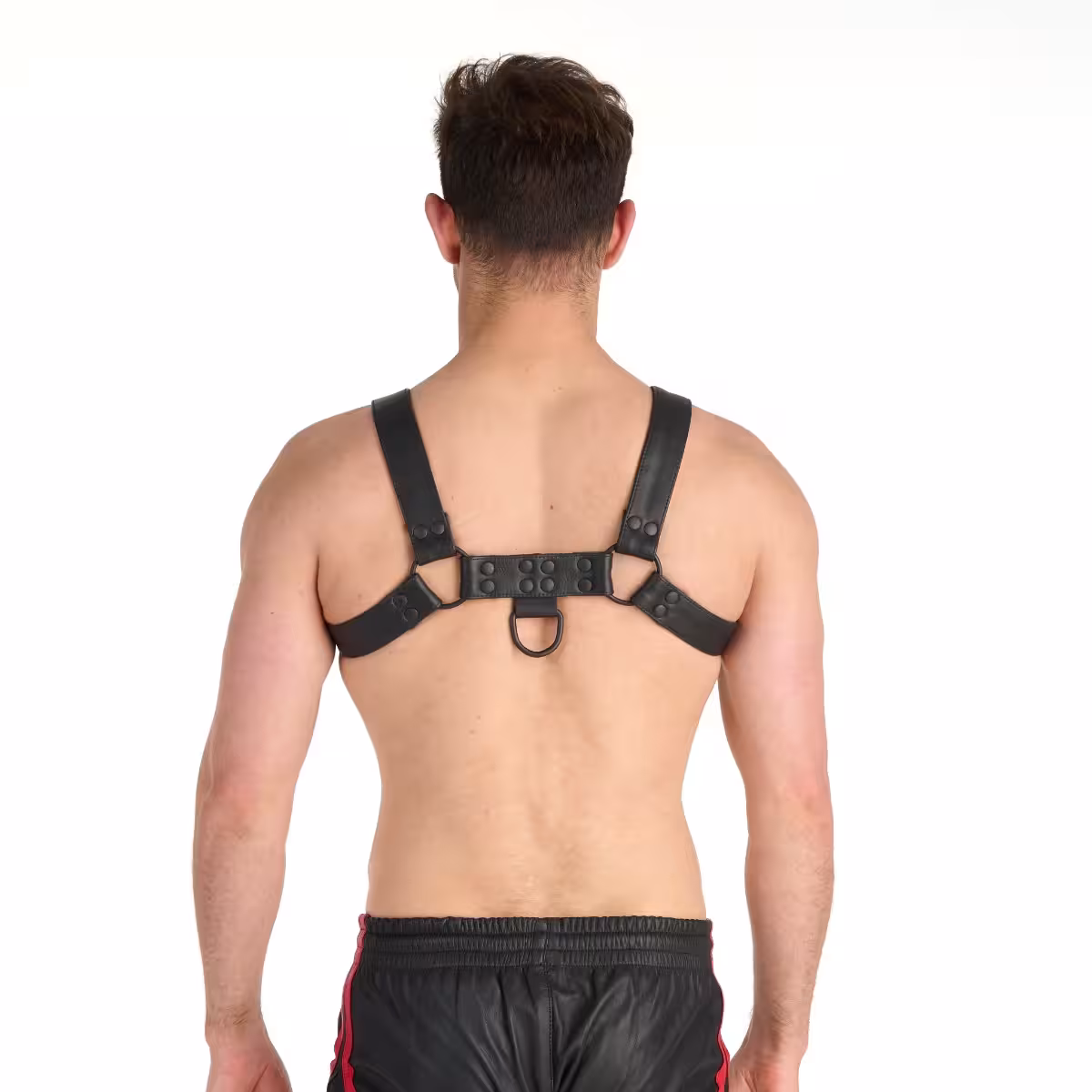 Prowler RED Noir Harness Premium Black Small image 2