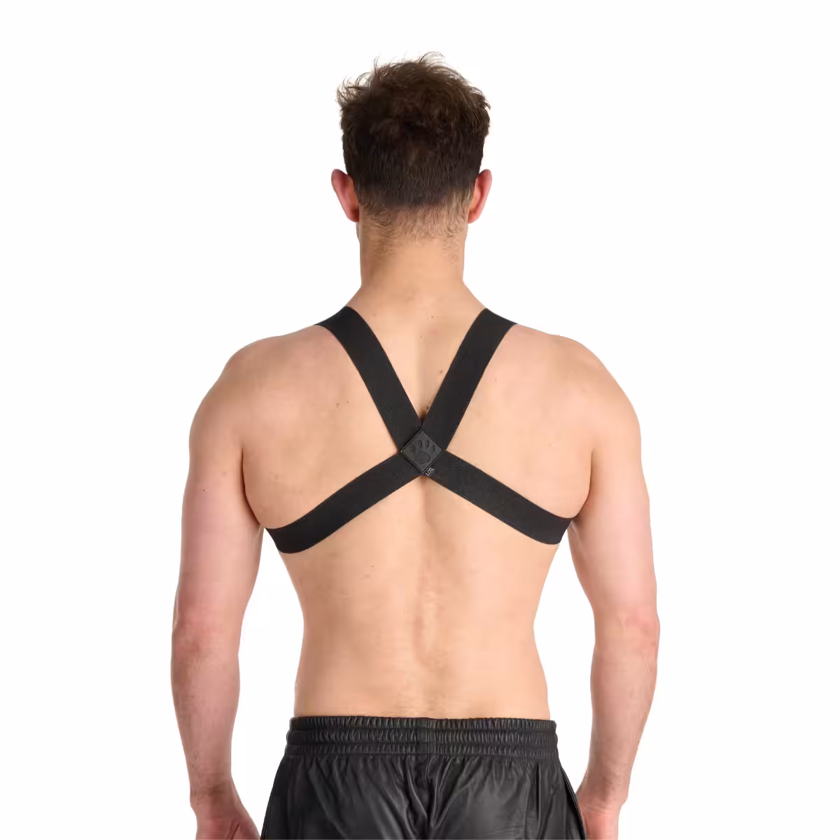 Prowler RED Sports Harness Black image 2