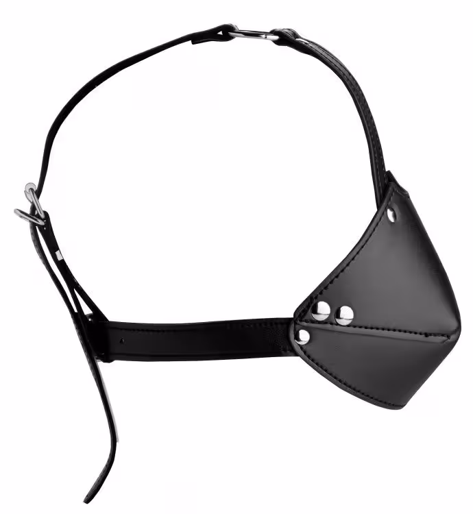 Strict Mouth Harness with Ball Gag image 3