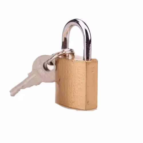 BOUND Padlock and Key image 2