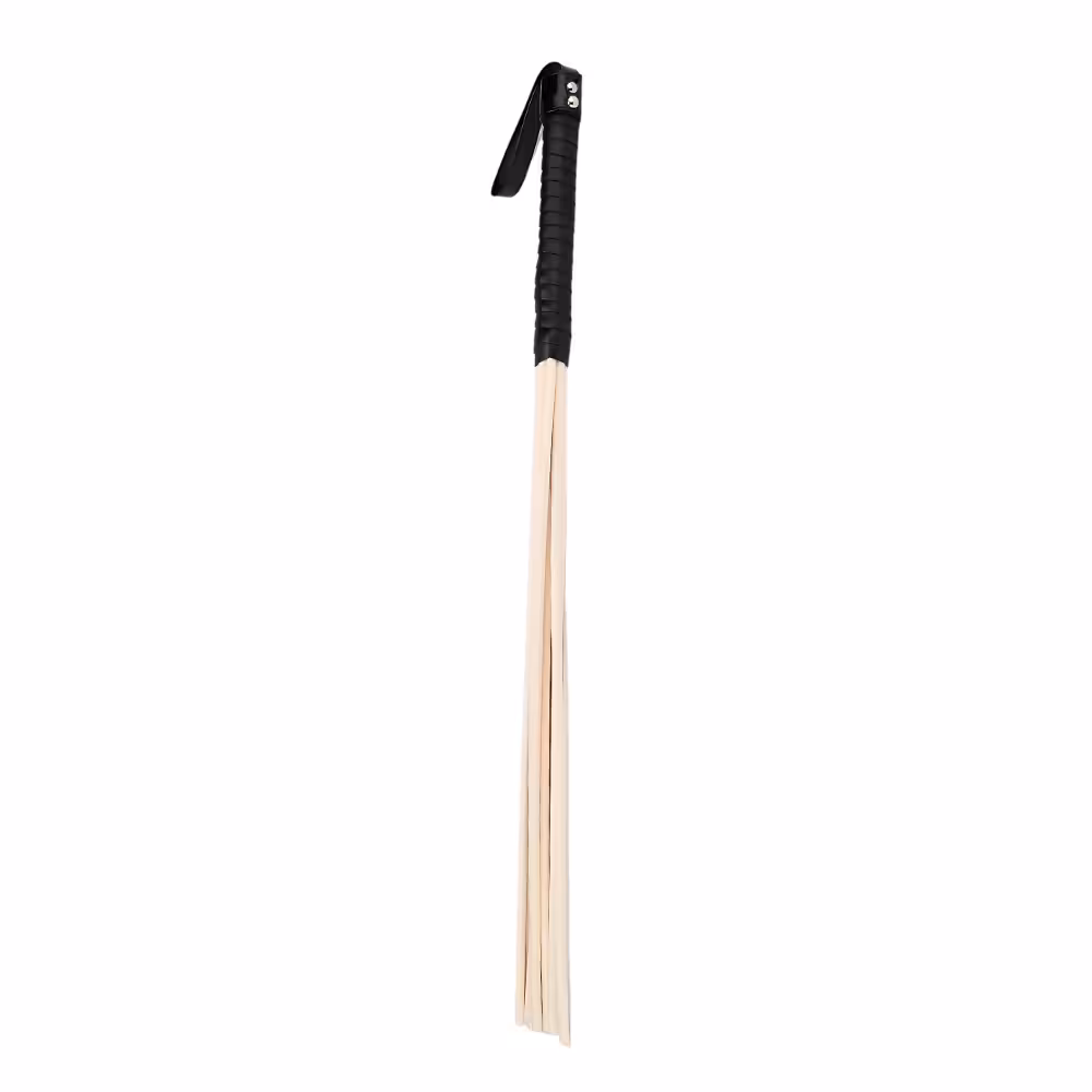 Bound to Please Multi-Strand Spanking Cane image 2