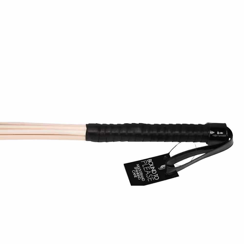 Bound to Please Multi-Strand Spanking Cane image 4