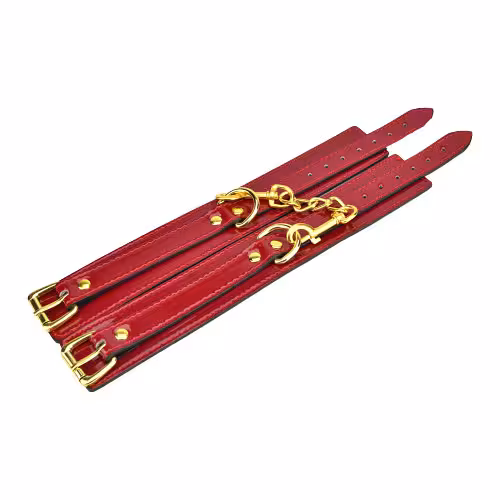 Bound to Please Red Ankle Cuffs image 2