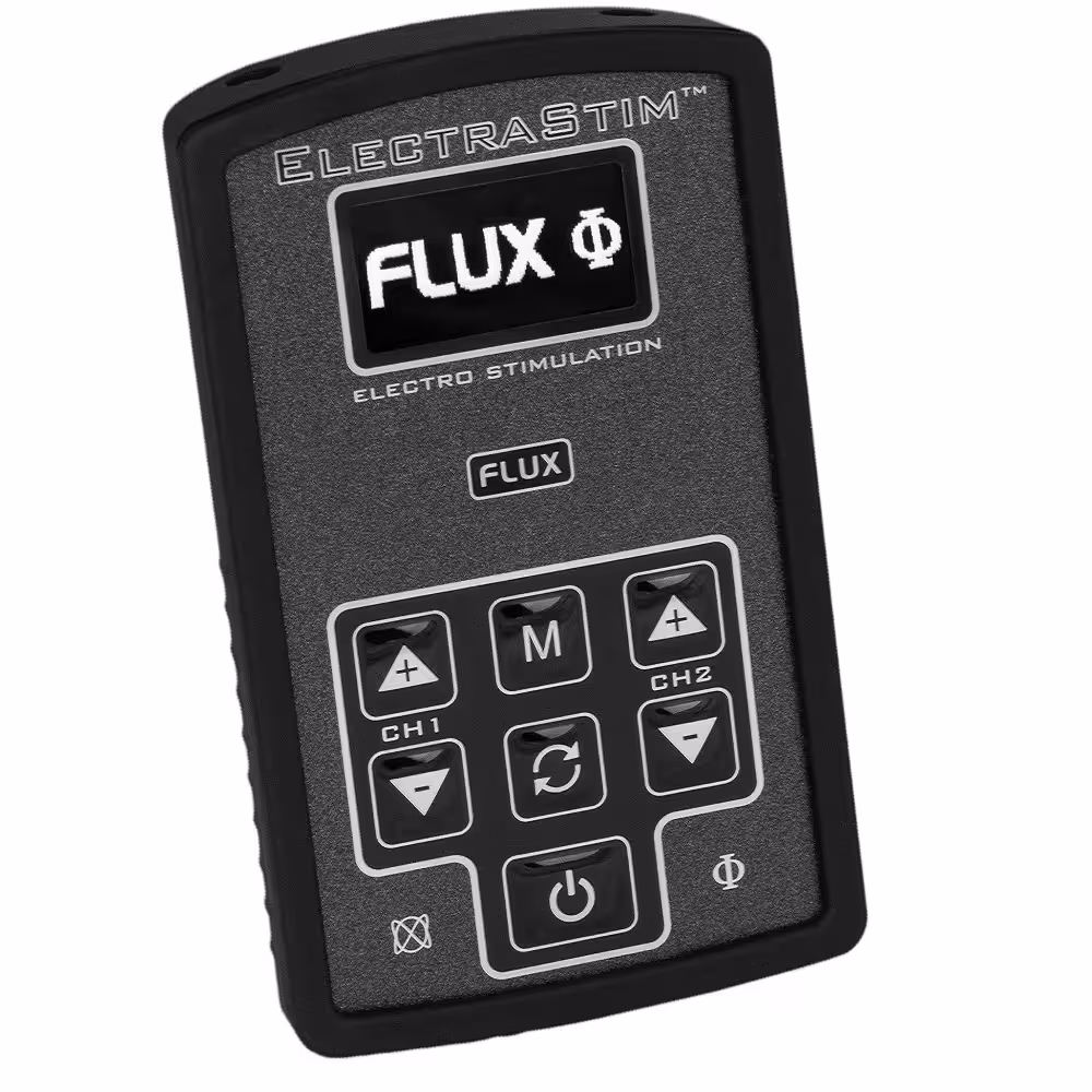 ElectraStim FLUX Dual Channel Electrosex Stimulator image 3