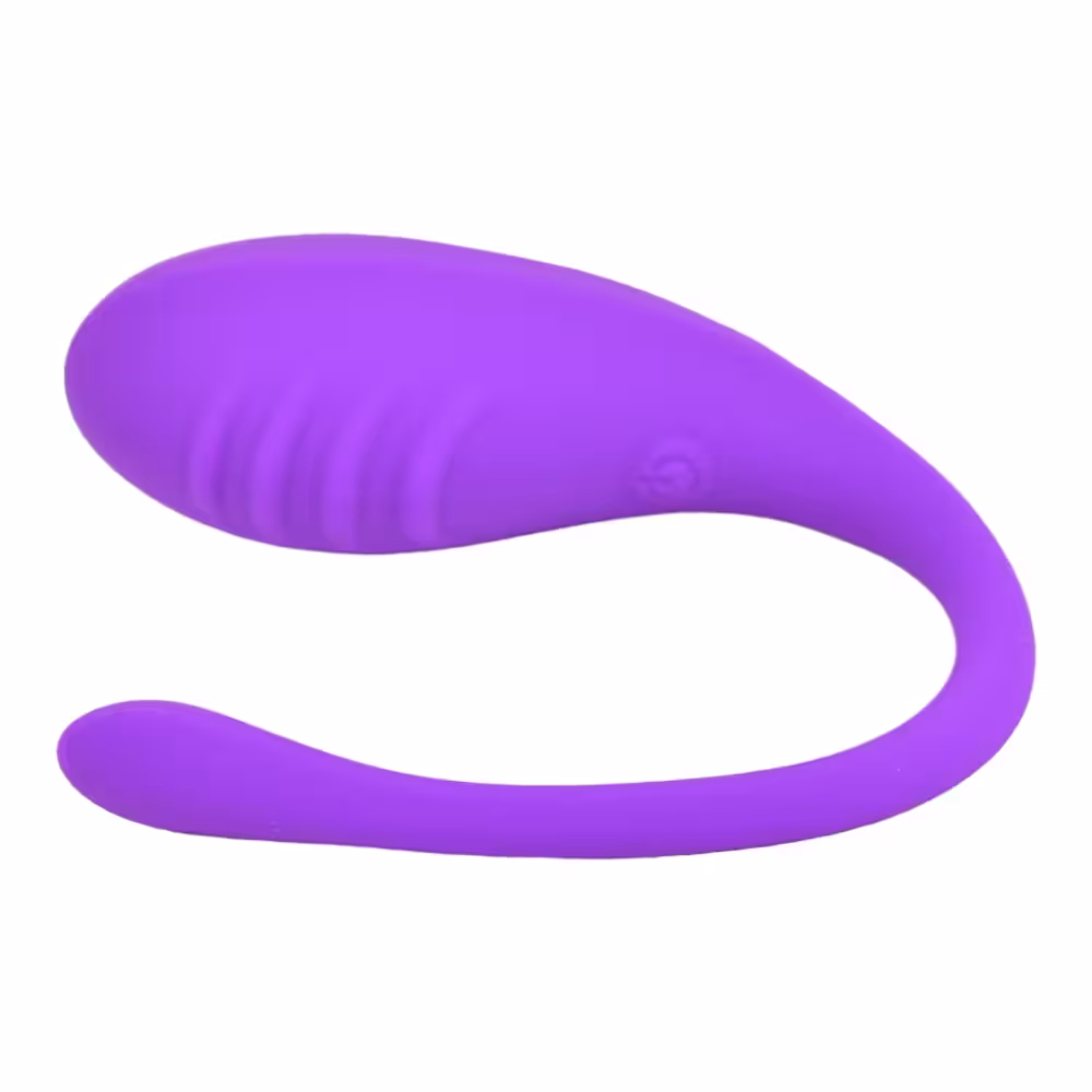 Loving Joy Remote Controlled Love Egg Vibrator image 5