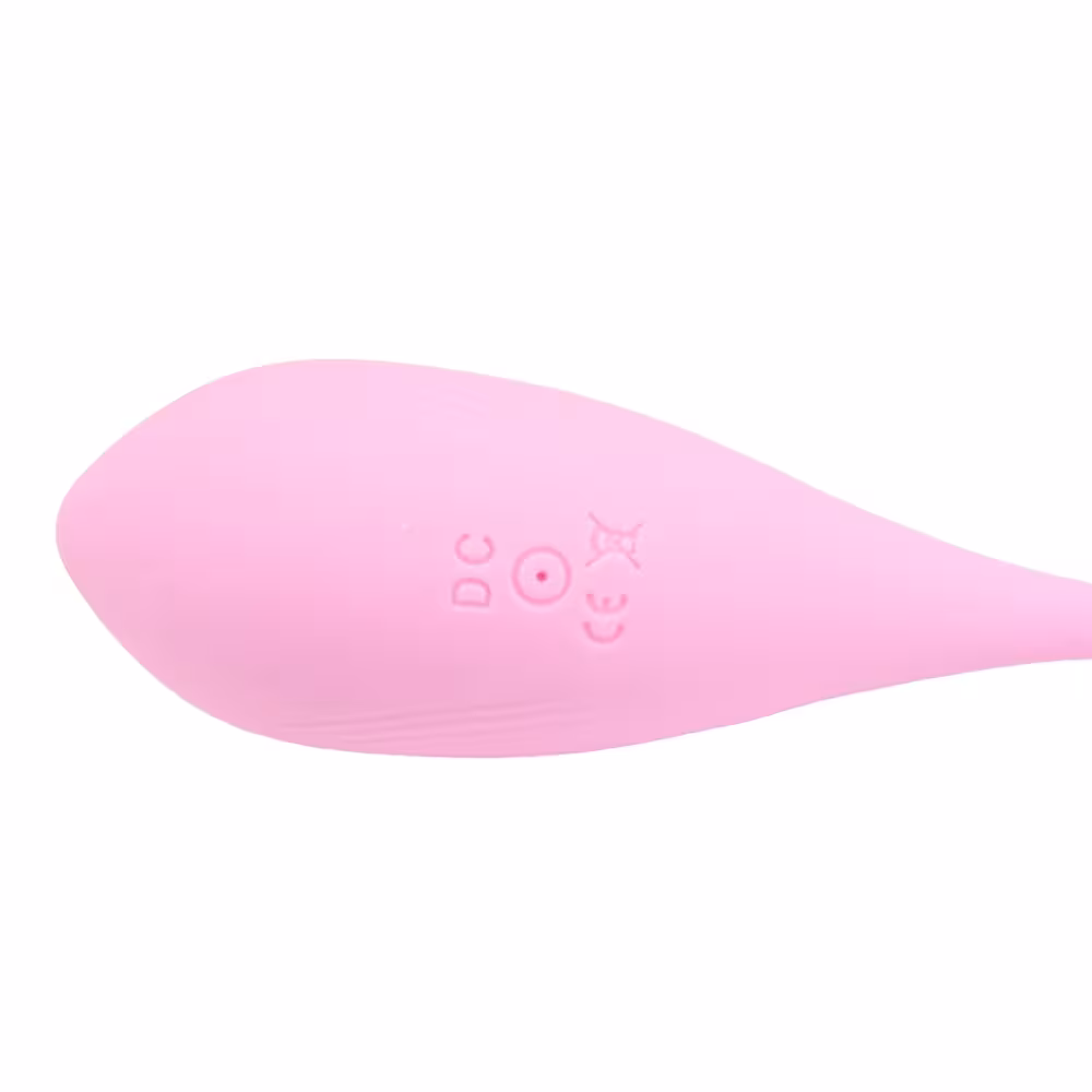 Loving Joy Remote Controlled Vibrating Egg image 5