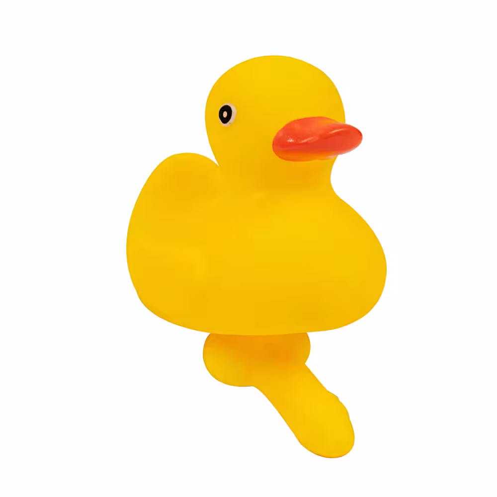 Duck with a Dick image 2