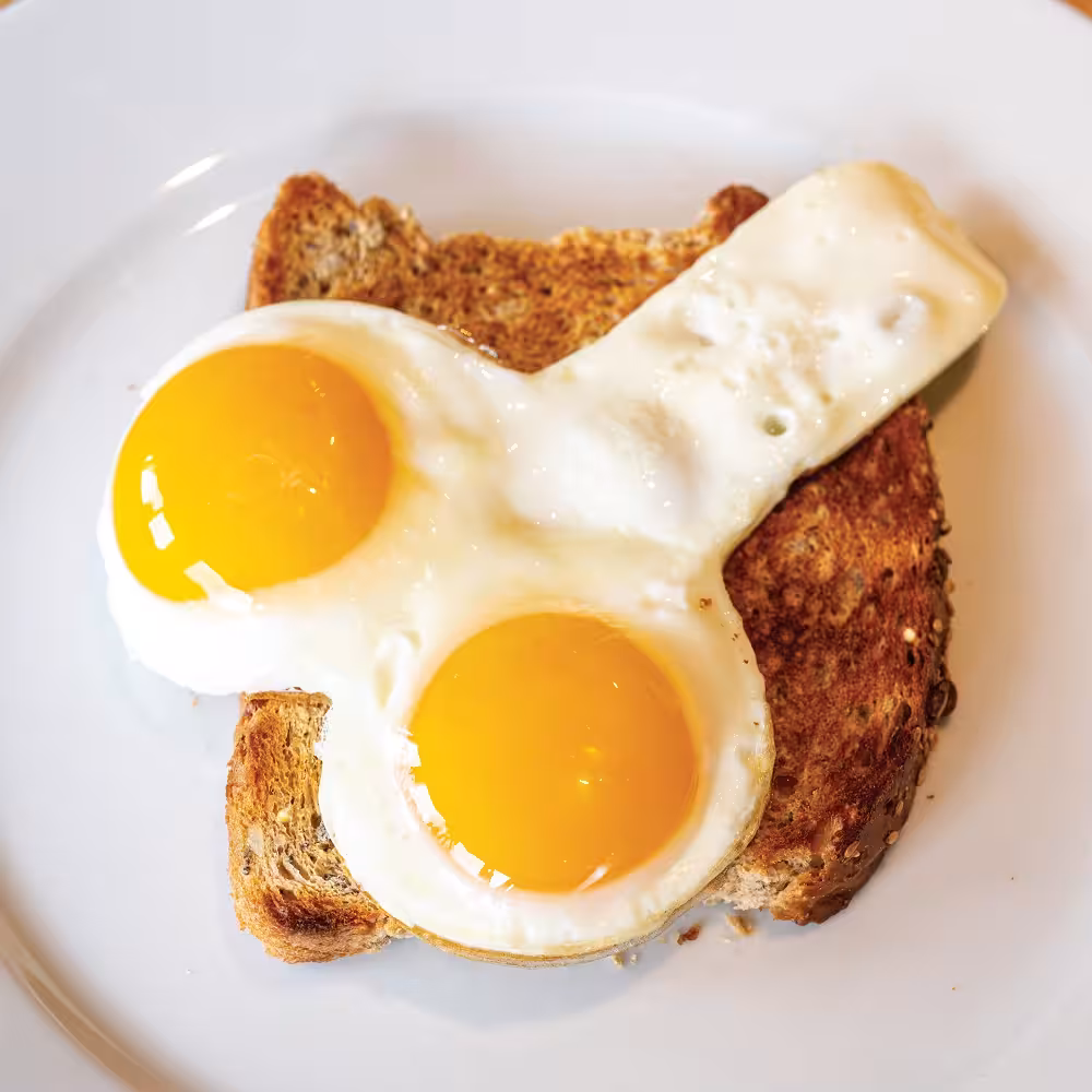 Willie Egg Fryer image 2